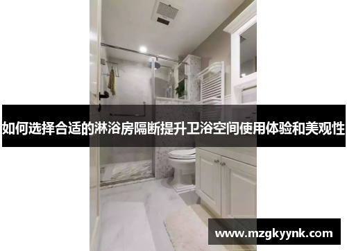 如何选择合适的淋浴房隔断提升卫浴空间使用体验和美观性 如何选择合适的淋浴房隔断提升卫浴空间使用体验和美观性
