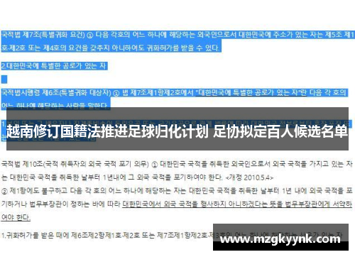 越南修订国籍法推进足球归化计划 足协拟定百人候选名单 越南修订国籍法推进足球归化计划 足协拟定百人候选名单